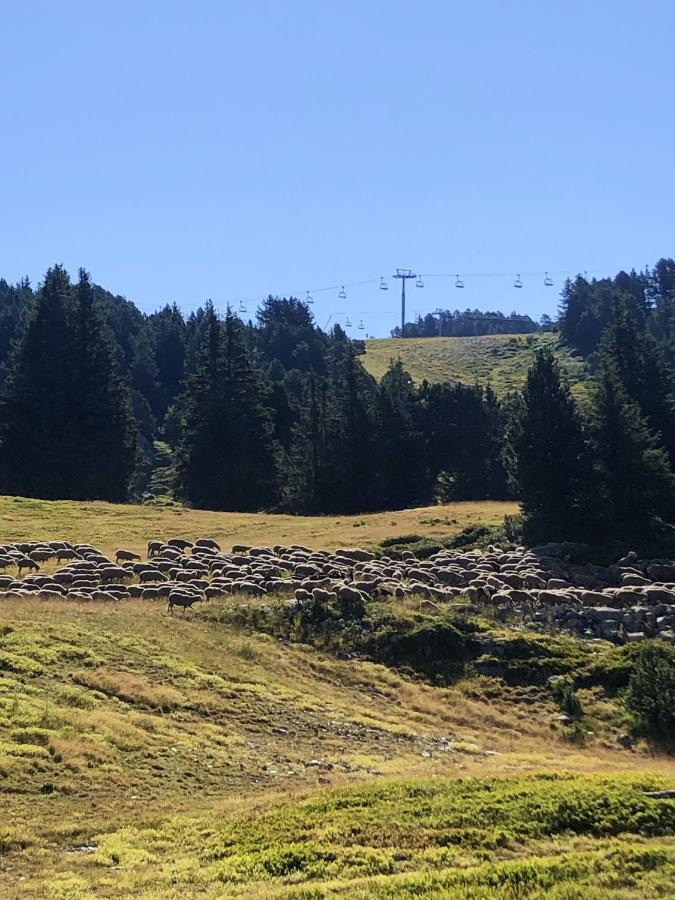 Appartement Cosy A Chamrousse Avec Vue Sur Montagne + 34M² エクステリア 写真